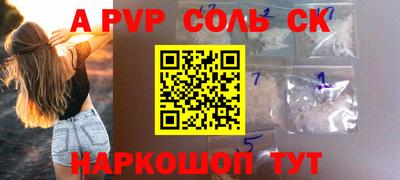 СК Новозыбков