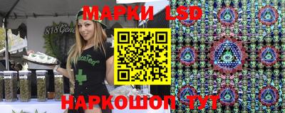 СК Новозыбков