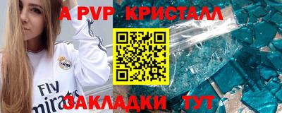 СК Новозыбков