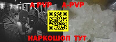 СК Новозыбков