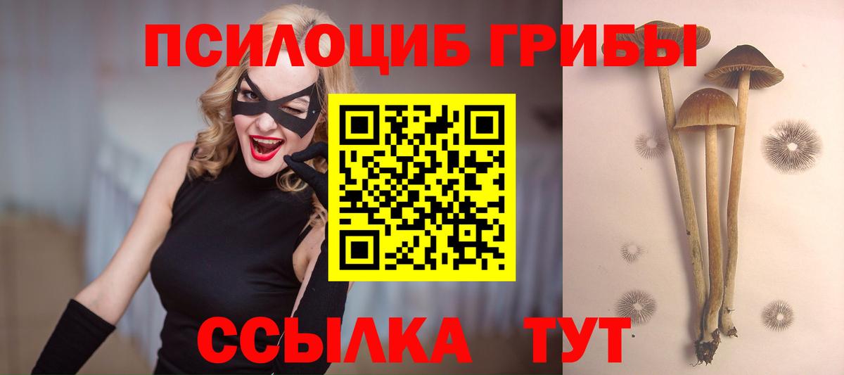 Псилоцибиновые грибы MAGIC MUSHROOMS Тосно